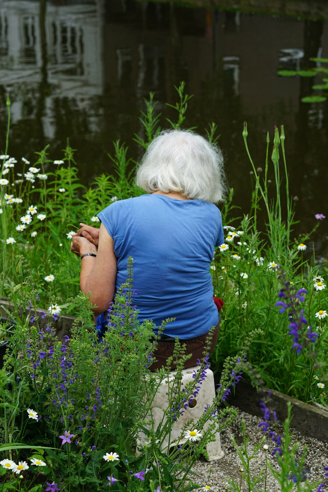 Senior woman taking a photo with her smartphone in a garden
